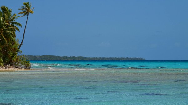 Comment organiser une visite des vignobles de la Napa Valley, USA : conseils, itinéraires et dégustations ?